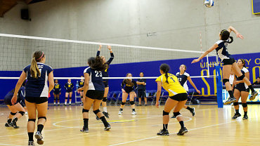 Image for 4 Key Ways To Perfect the Art of Hitting Article