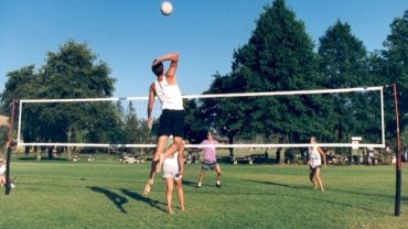 Cobra Volleyball Net Review