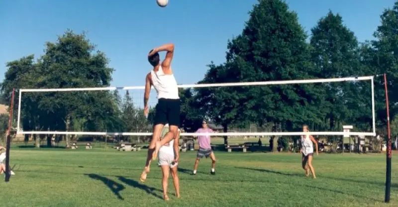 Cobra Volleyball Net Review