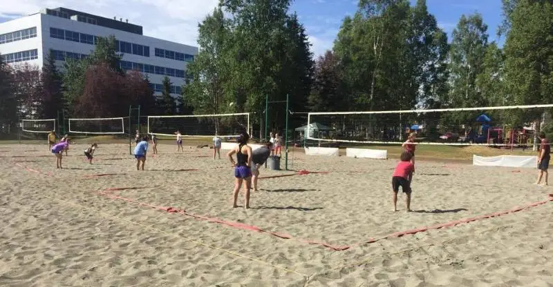 Springer Park Volleyball Court