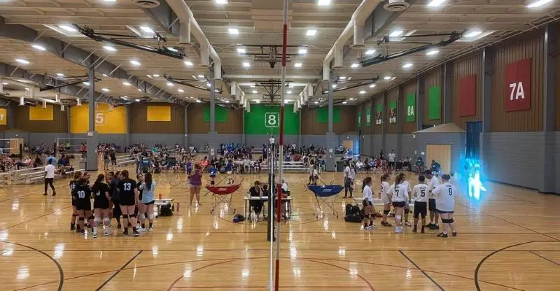 FSC Cougars Volleyball Club - Volleyball Clubs For Kids