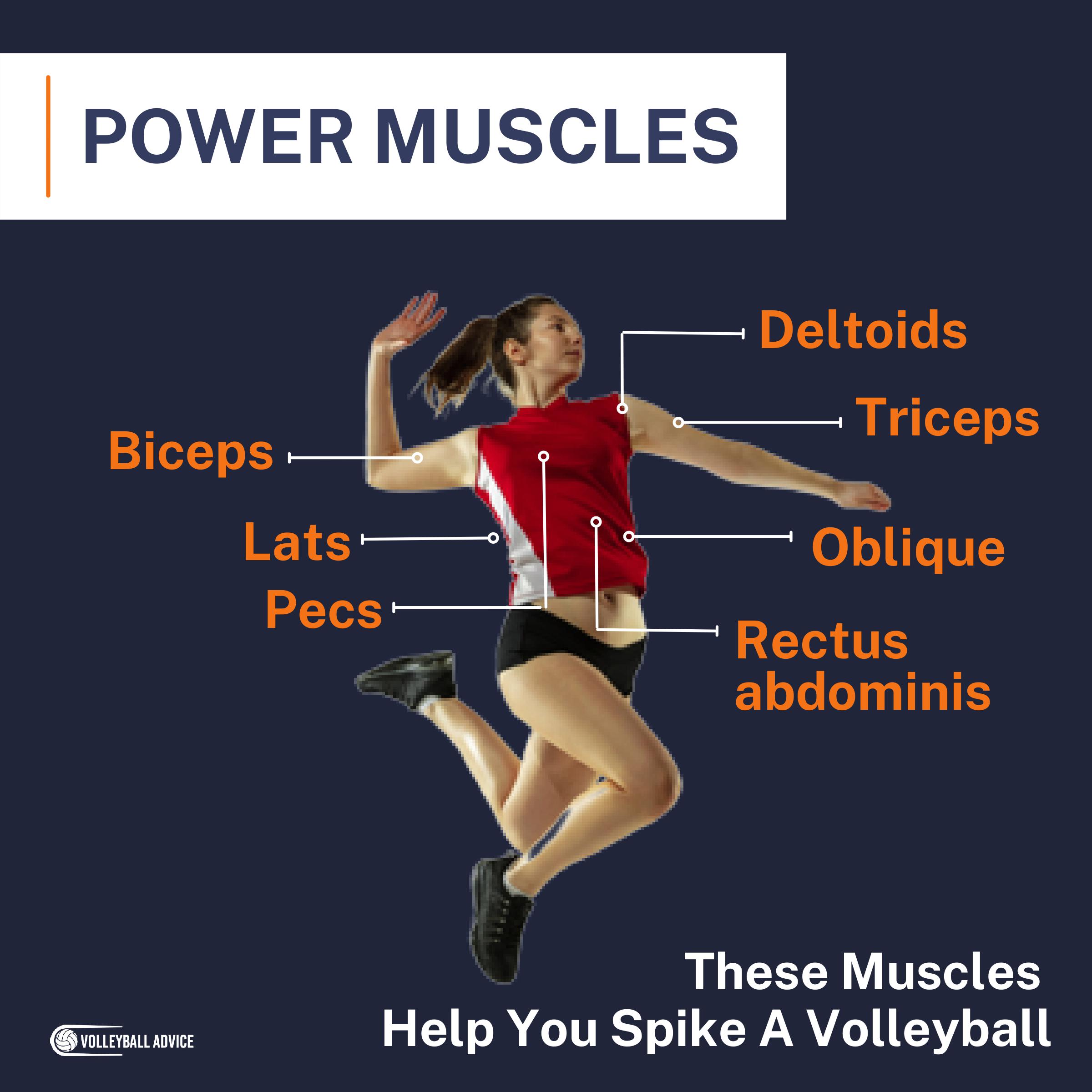 11 Exercises To Improve Your Volleyball Spike Volleyball Advice