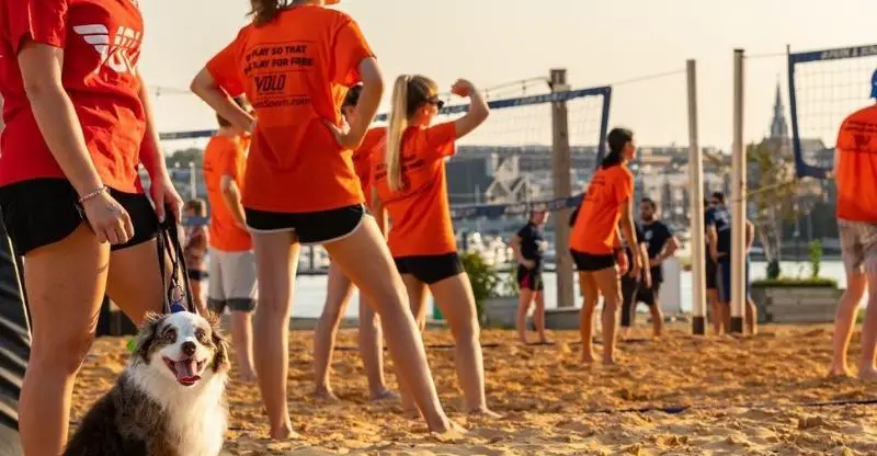 VOLO Sports Volleyball Leagues In Baltimore