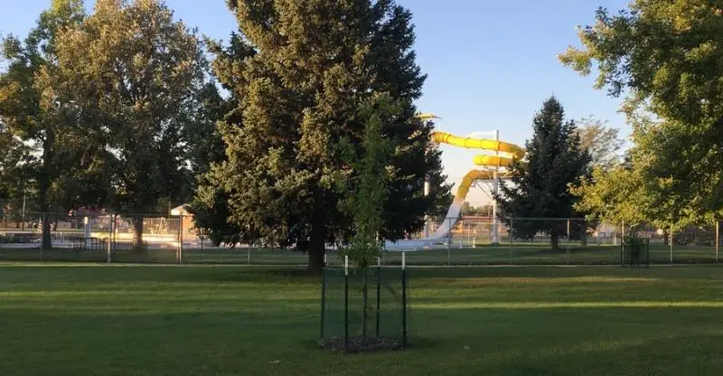 Rose Park Billings, Montana