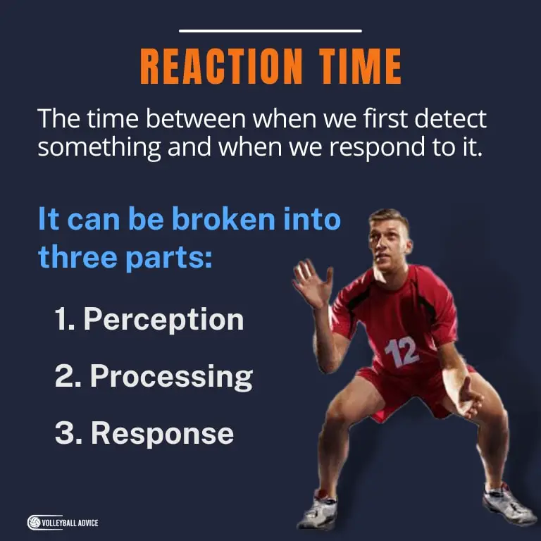 Reaction Time in Volleyball 4 Specific Drills To Master Volleyball